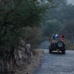 Morning vs Afternoon Safari in Ranthambore Which Is Better