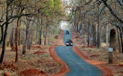 Famous Places in Tadoba National Park