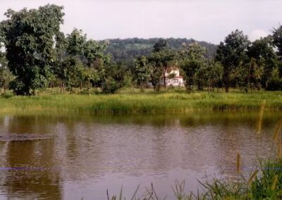Tiger Trails Jungle Lodge Pond View