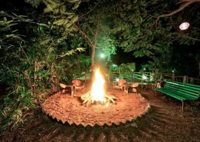 Tiger King Resort Bonfire