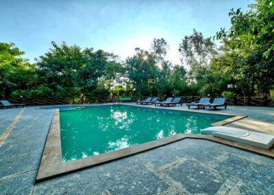 Tiger King Resort Pool View