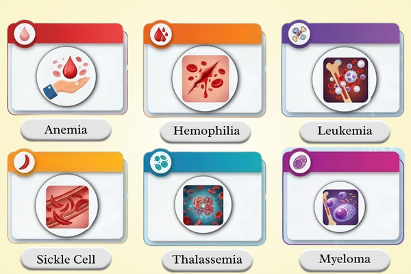 Expert hematology specialist in Mumbai at Bombay Hospital providing personalized care for blood disorders