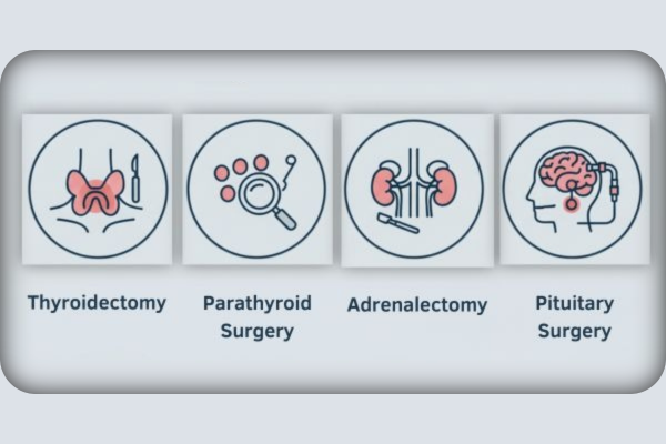 Best Endocrinology Surgery Treatment in Mumbai at Bombay Hospital