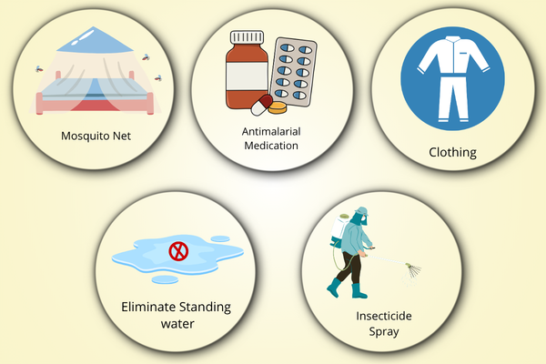Discover Expert malaria care in Mumbai at Bombay Hospital for swift recovery