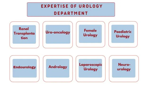 Expertise of Urology Department at Bombay Hospital in Mumbai