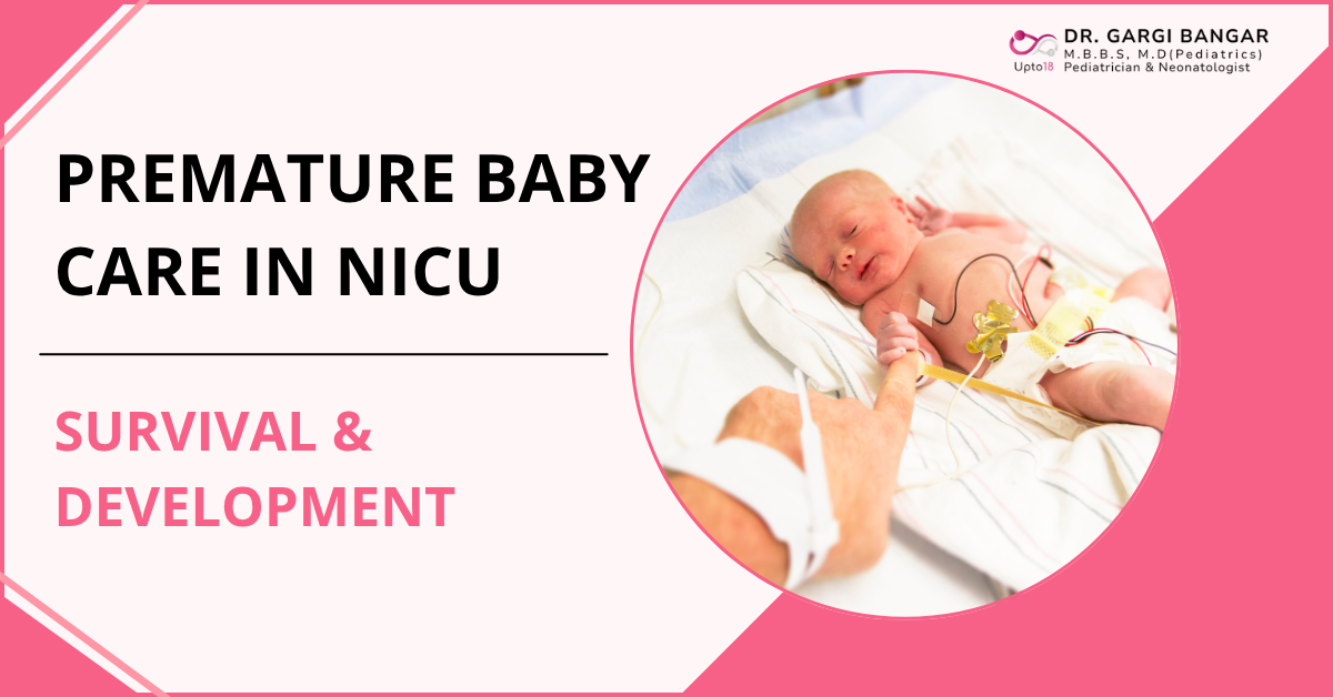 How is premature baby care in NICU for survival and development?