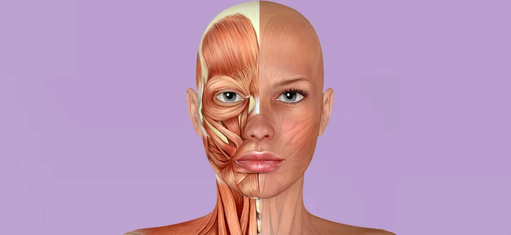 Head, Neck, and Facial Reconstruction