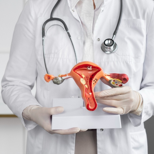 Advanced Gynaecological Surgeries