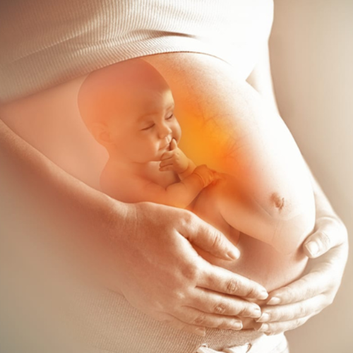 Fertility & Infertility Treatments