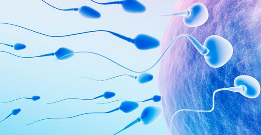 Infertility Treatment