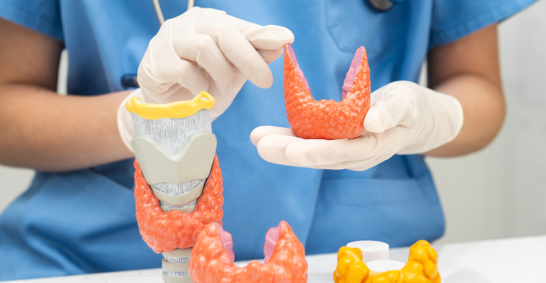 Thyroid: Myths and Facts