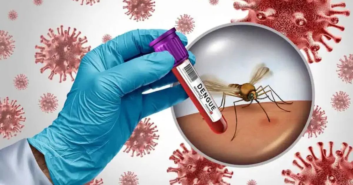 Dengue Situation in India