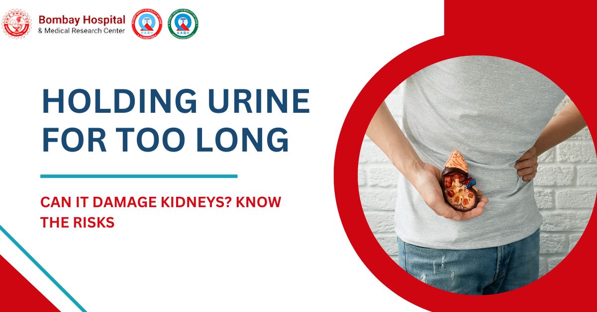 Holding Urine for Too Long? Know the Risks to Your Kidneys and Bladder
