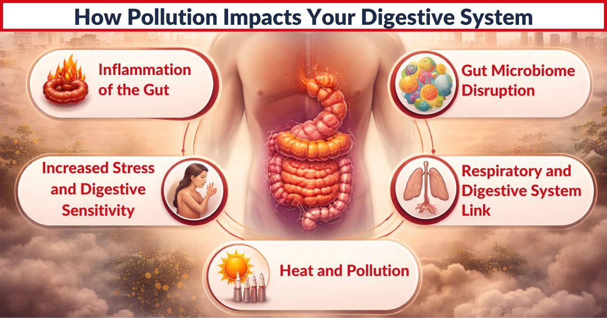 How Pollution Impacts Your Digestive System