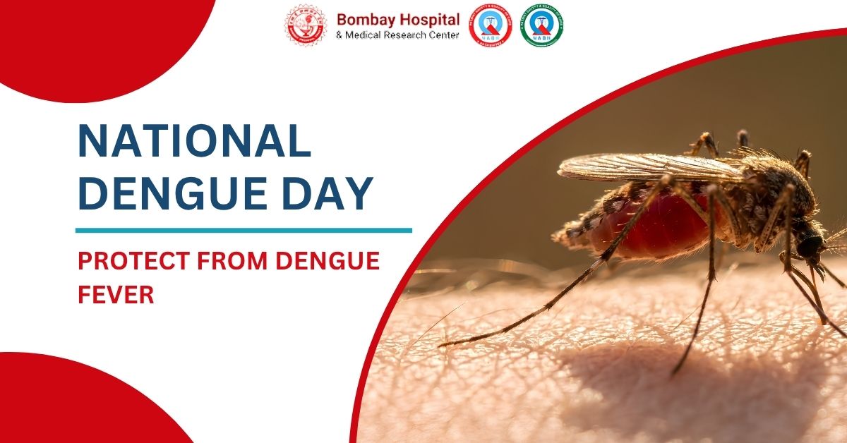 National Dengue Day: Prevent From Dengue Fever