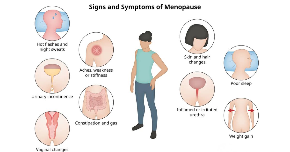 Symptoms Experienced During Menopause