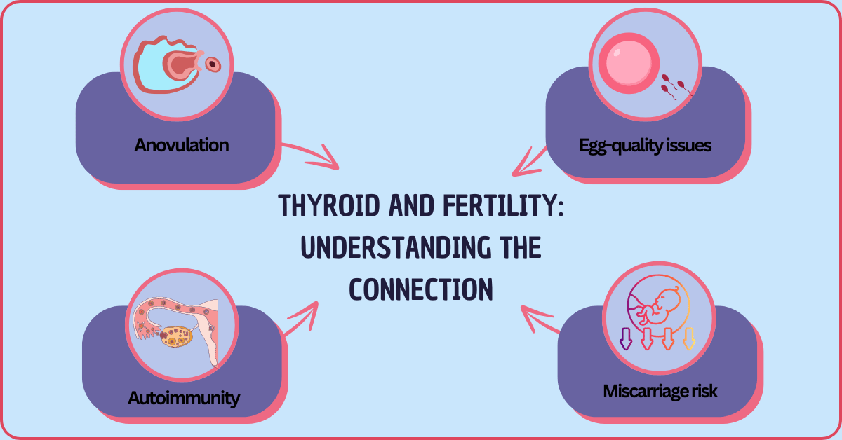 Understanding the Connection between Thyroid and Fertility