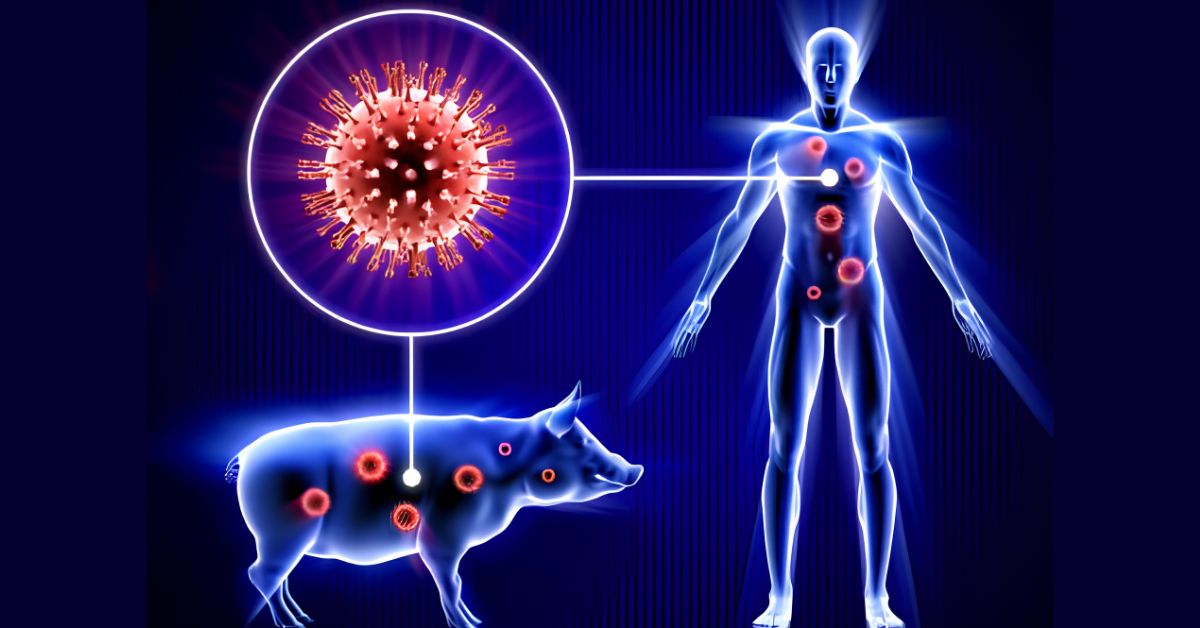 What is Swine Flu?