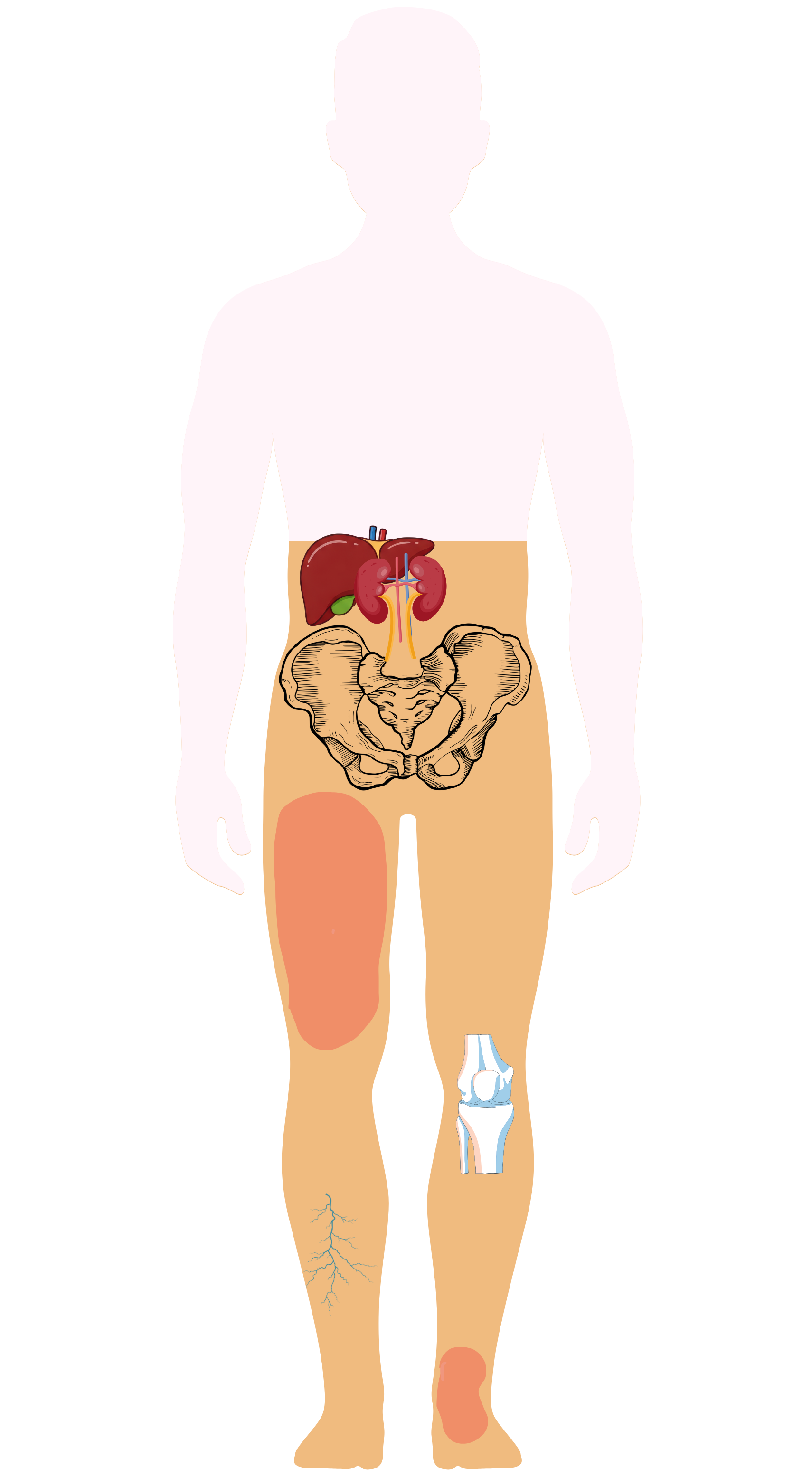 Lower Body Silhouette