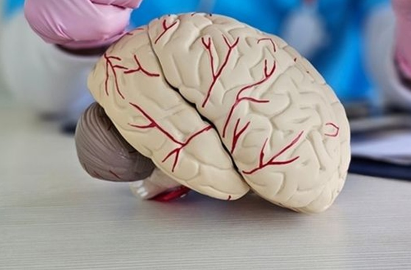 Neurosurgery Consultation