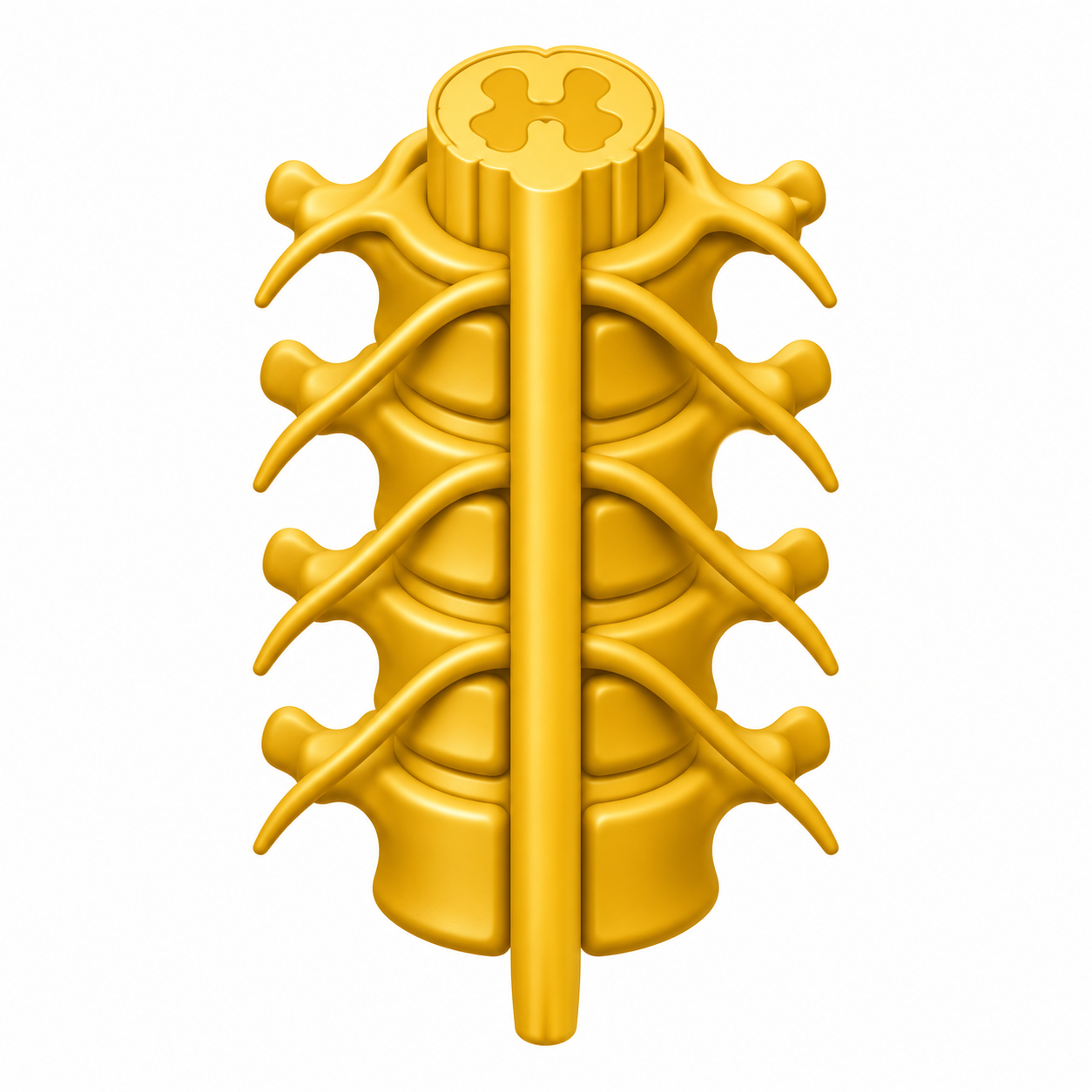 Spinal Cord Injuries