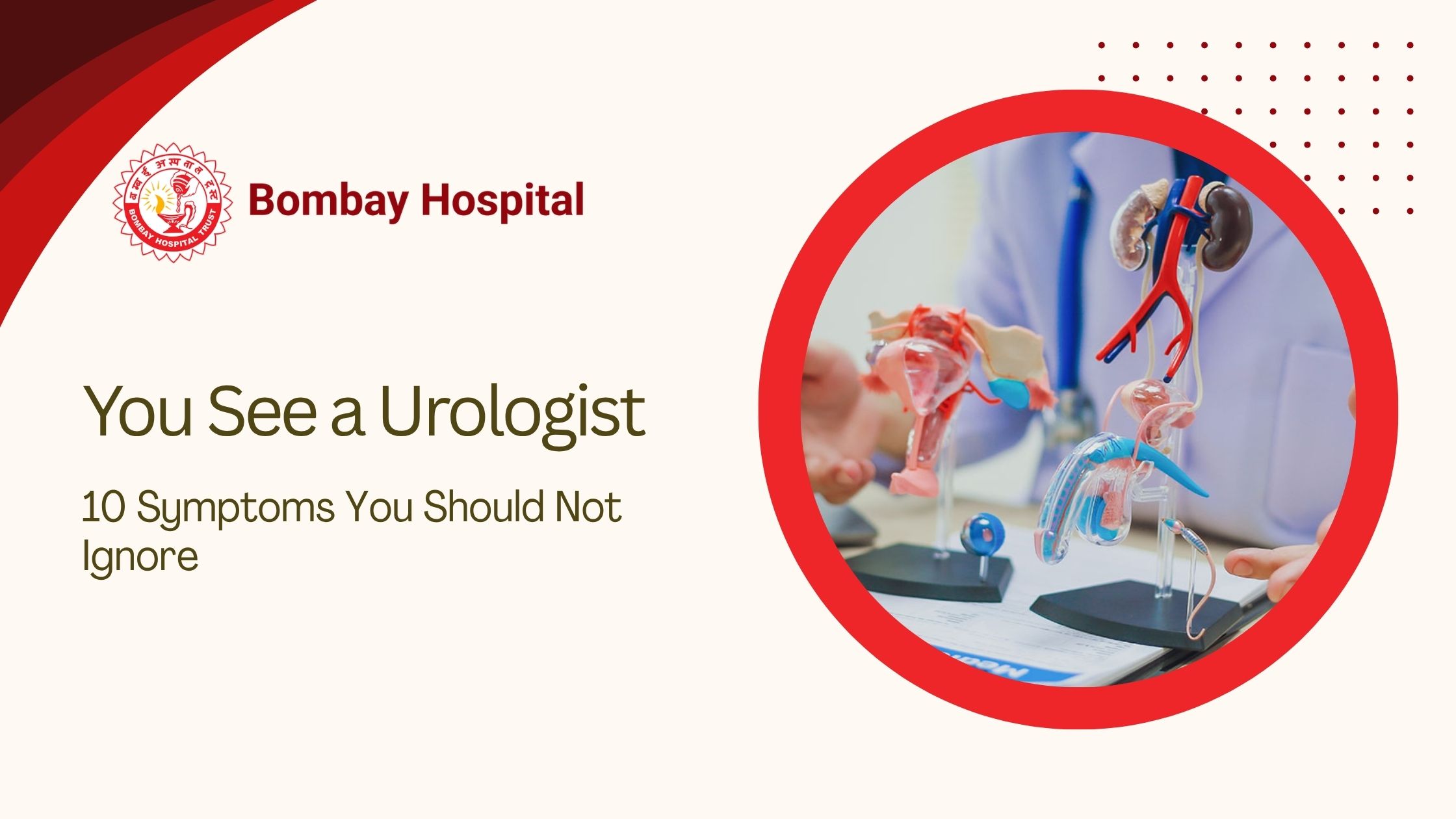 When Should You See a Urologist? 10 Symptoms You Should Not Ignore