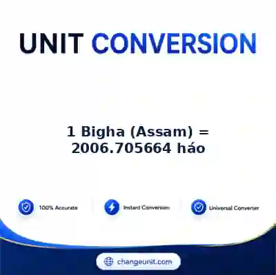 convert-from-bigha-assam-to-hao - The Best Free Converter