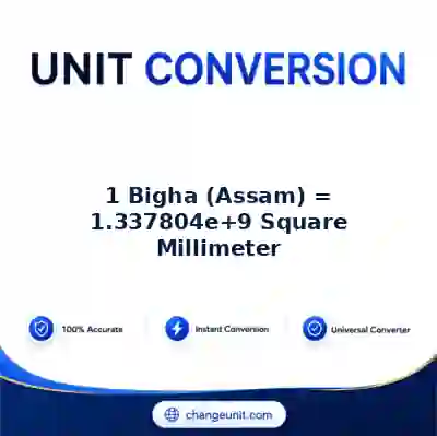 convert-from-bigha-assam-to-square-millimeter - The Best Free Converter