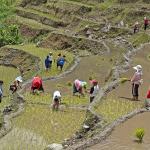 MoAL aligns with 10X vision to transform Bhutan’s agriculture sector