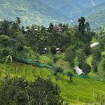 New export markets boost Bhutan’s agri-export performance in 2025