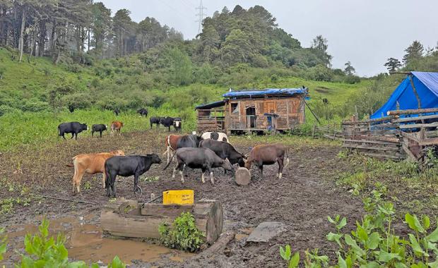 Shortage of extension officers pushes MoAL to reform rural services