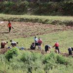 Bhutan wins global honour for exemplary biodiversity protection