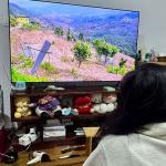 BICMA sets uniform cable TV cap at Nu 286, citing fairness and simplicity