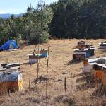 བུམ་ཐང་གི་ སྦྱང་གསོ་སྐྱོང་འབད་མི་ཚུ་ ཐོན་སྐྱེད་འབད་ནི་ལུ་ གདོང་ལེན་བྱུང་དོ་ཡོདཔ།