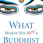 The lama who ghosted me