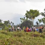 Gelephu Mindfulness City
