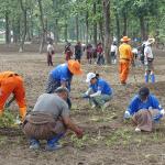 The Bhutanese spirit thrives