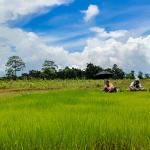 Every Bhutanese to hold stake in Gelephu Mindfulness City