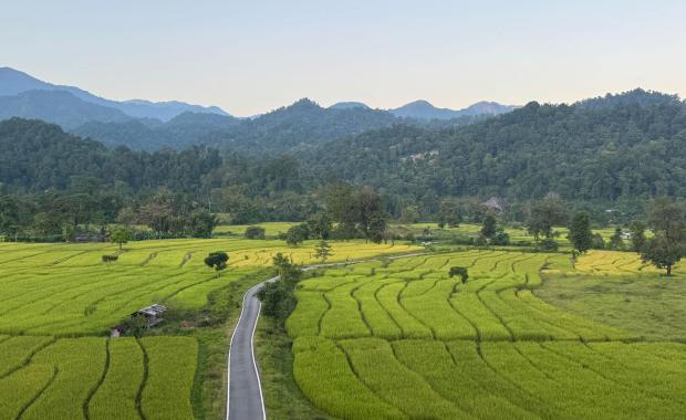 Commercial land in GMC no longer freely tradable