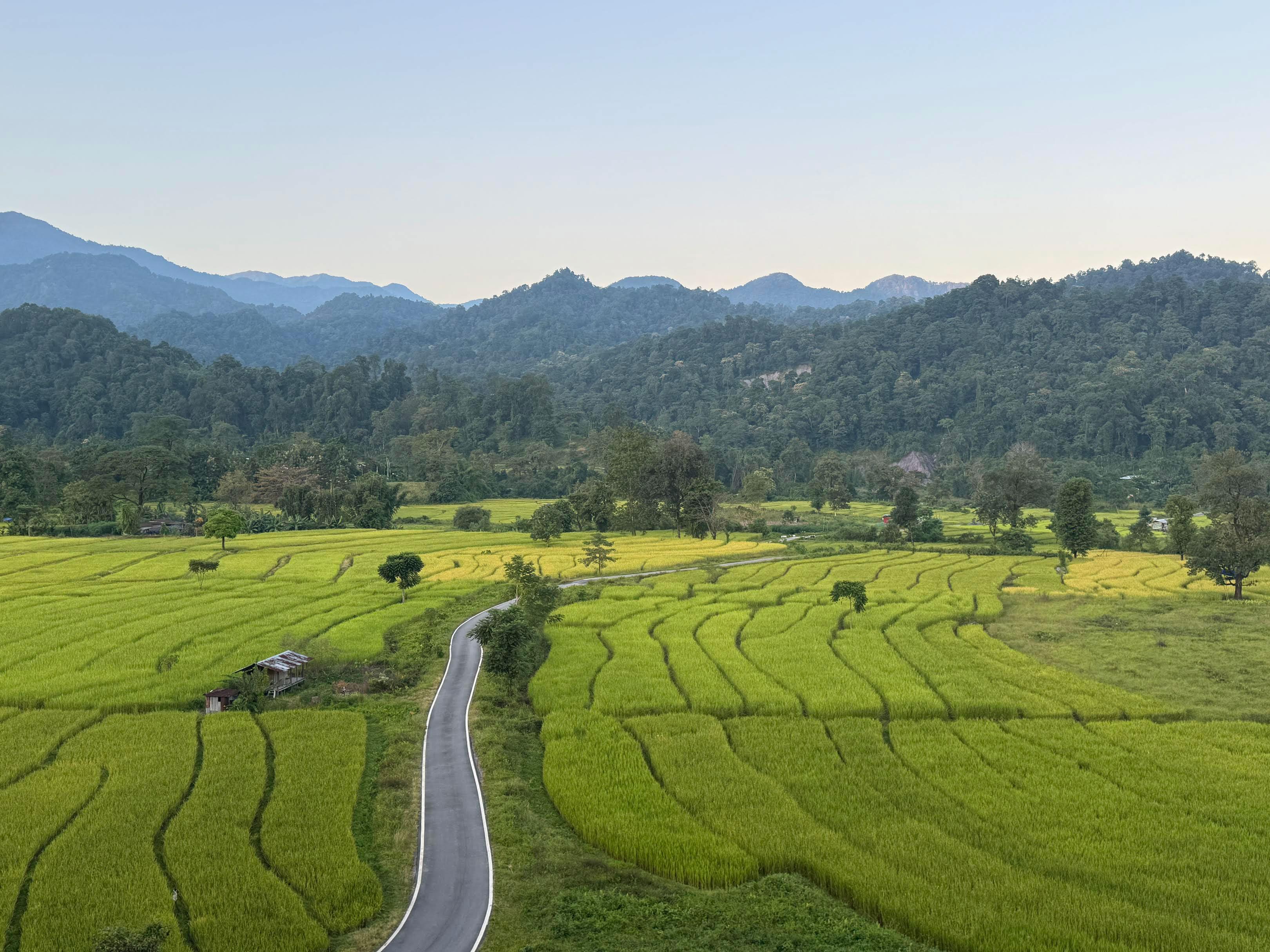 Commercial land in GMC no longer freely tradable