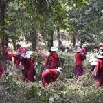 ཁས་བླངས་པ་༧,༠༠༠ གྱིས་ དམིགས་གཏད་གཅིག་གི་ཐོག་ལས་ ཞབས་ཏོག་ཞུ་ཡོདཔ།