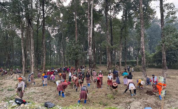 Turning vision into shared ownership