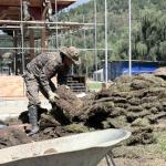 Global Peace Prayer Festival: Preparations in full swing