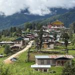 Homestays thrive in Gangtey-Phobjikha despite rising hotel presence