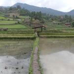 Bhutan advances climate-smart agriculture as HKH region faces climate finance gap