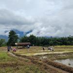 Global summit in Bhutan to reshape food systems through consciousness and values