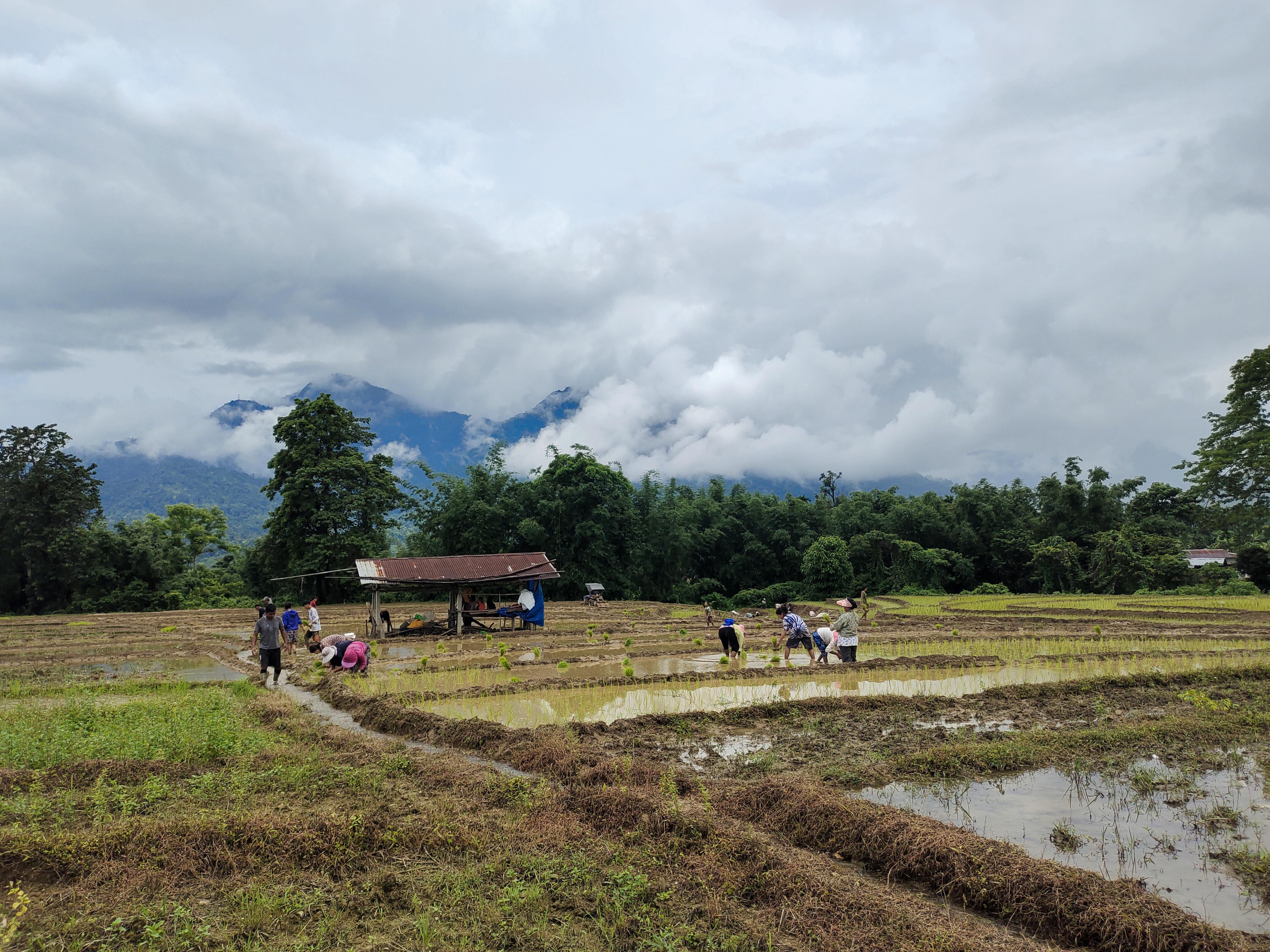 Global summit in Bhutan to reshape food systems through consciousness and values