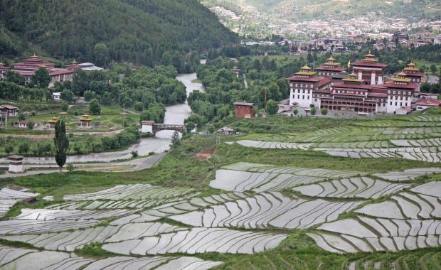 Where does our water come from?