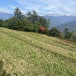 སོ་ནམ་པ་ཚུ་གིས་ གནམ་གཤིས་གནས་སྟངས་དང་བསྟུན་ ལོ་ཐོག་དབྱེ་སེལ་འབད་དེ་ འཛུགས་སྐྱོང་འབད་ནི་ འགོ་བཙུགས་ཡོདཔ།