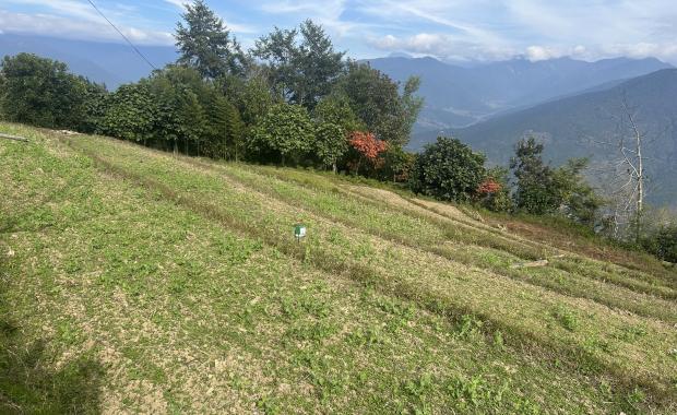 སོ་ནམ་པ་ཚུ་གིས་ གནམ་གཤིས་གནས་སྟངས་དང་བསྟུན་ ལོ་ཐོག་དབྱེ་སེལ་འབད་དེ་ འཛུགས་སྐྱོང་འབད་ནི་ འགོ་བཙུགས་ཡོདཔ།